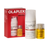 ICONIC STYLERS Care Set