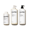 Special Offer - STRENGTHEN + REPAIR Value Kit